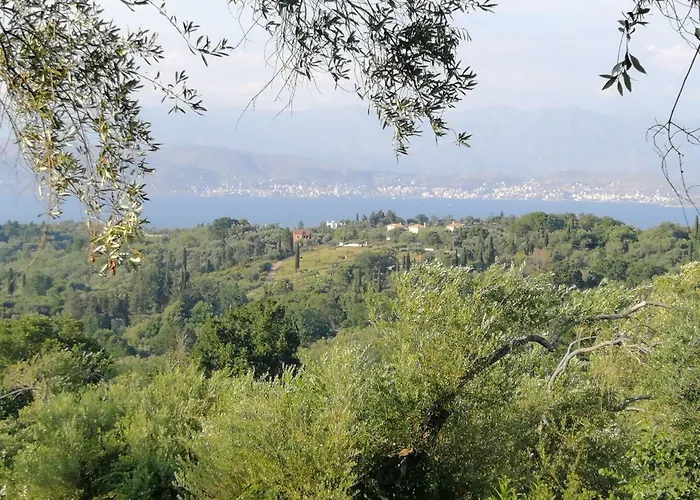 Olive Grove Deluxe Ferienhaus *