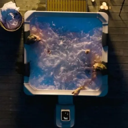 Olive Grove Deluxe *