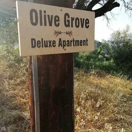 Olive Grove Deluxe Tatil Evi *